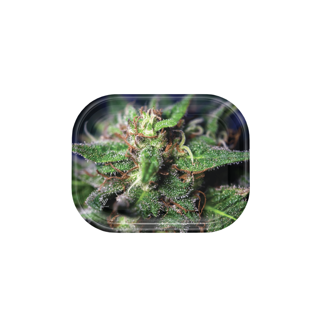 Blue Dream Metal Rollin' Tray