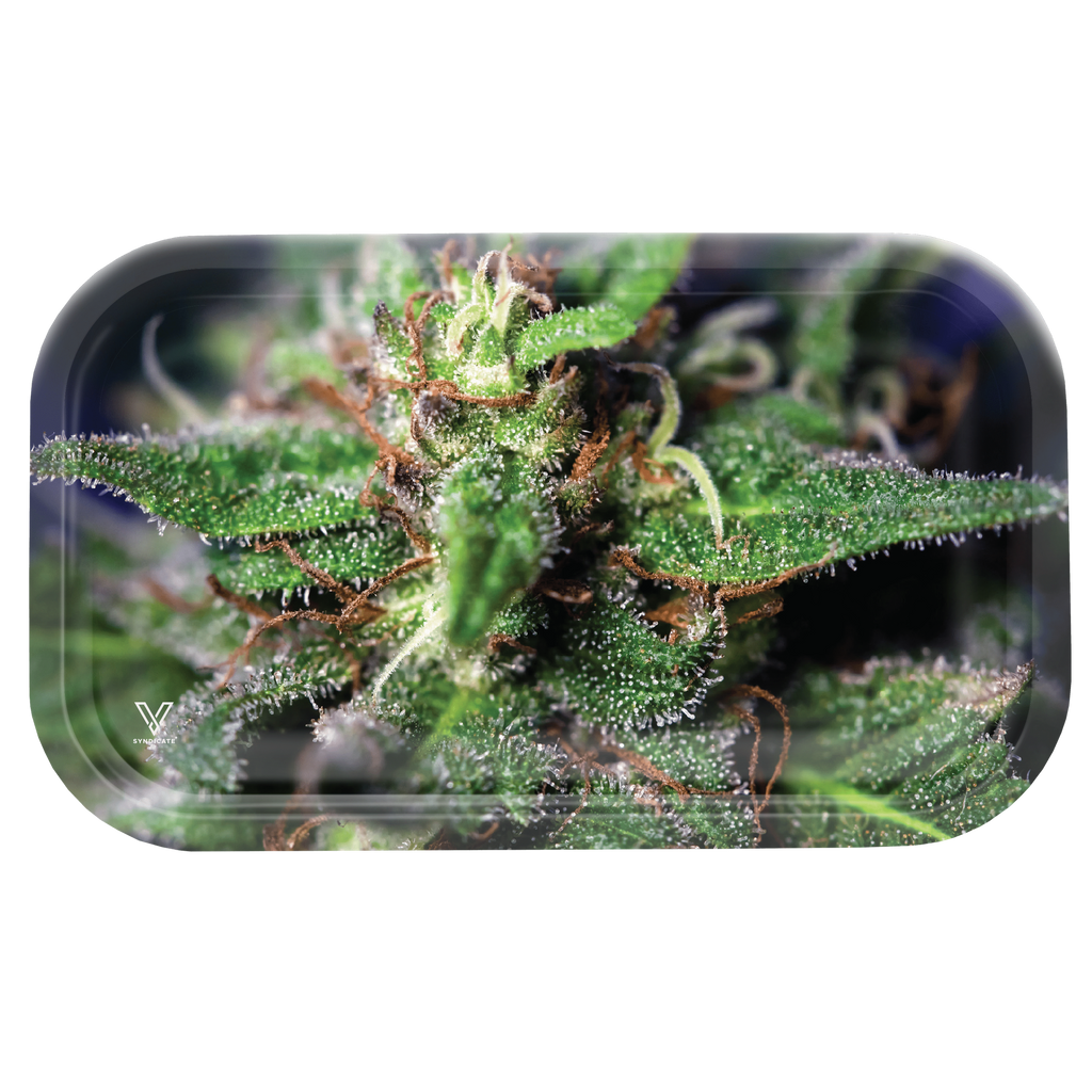 Blue Dream Metal Rollin' Tray