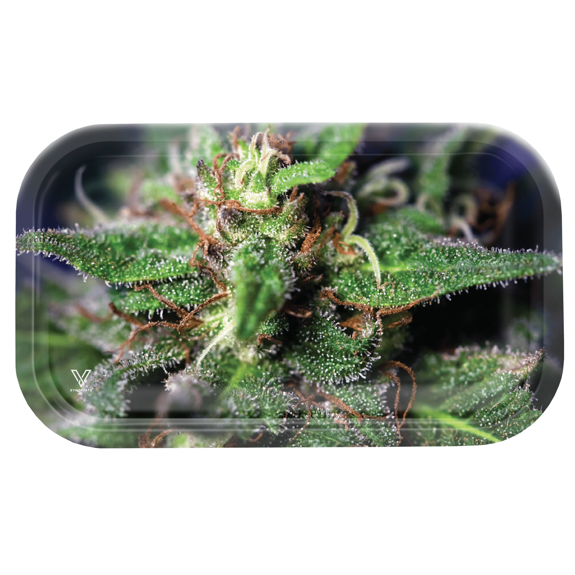 Blue Dream Metal Rollin' Tray